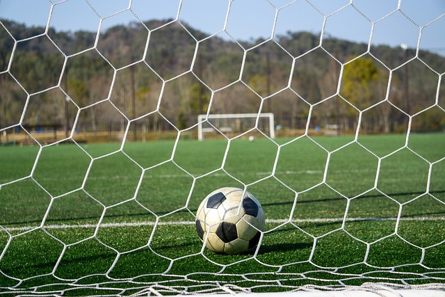 应对策略 应对策略