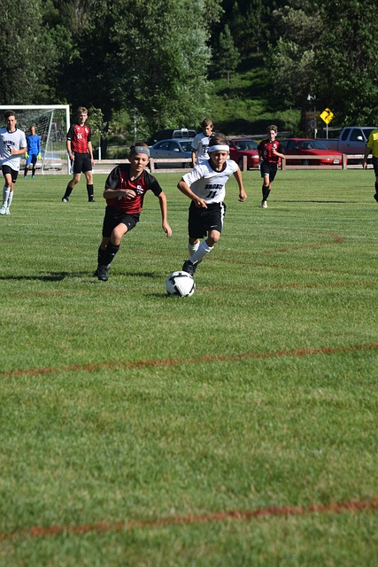 整體生活質 整體生活質